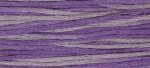(image for) Iris